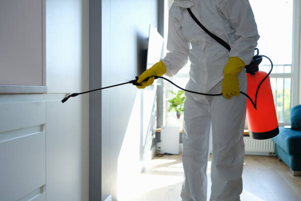 Best Mold Odor Removal Services  in Marysville, PA